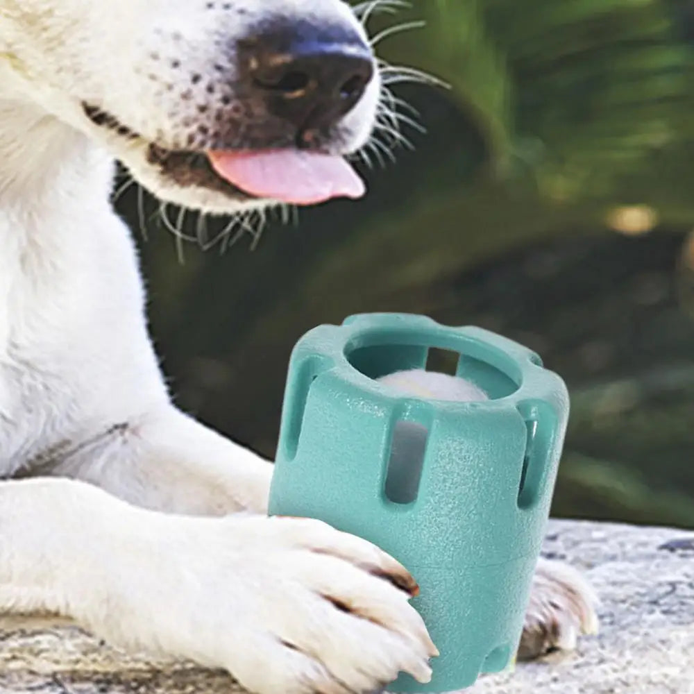 Puppy Teething Chew Ball