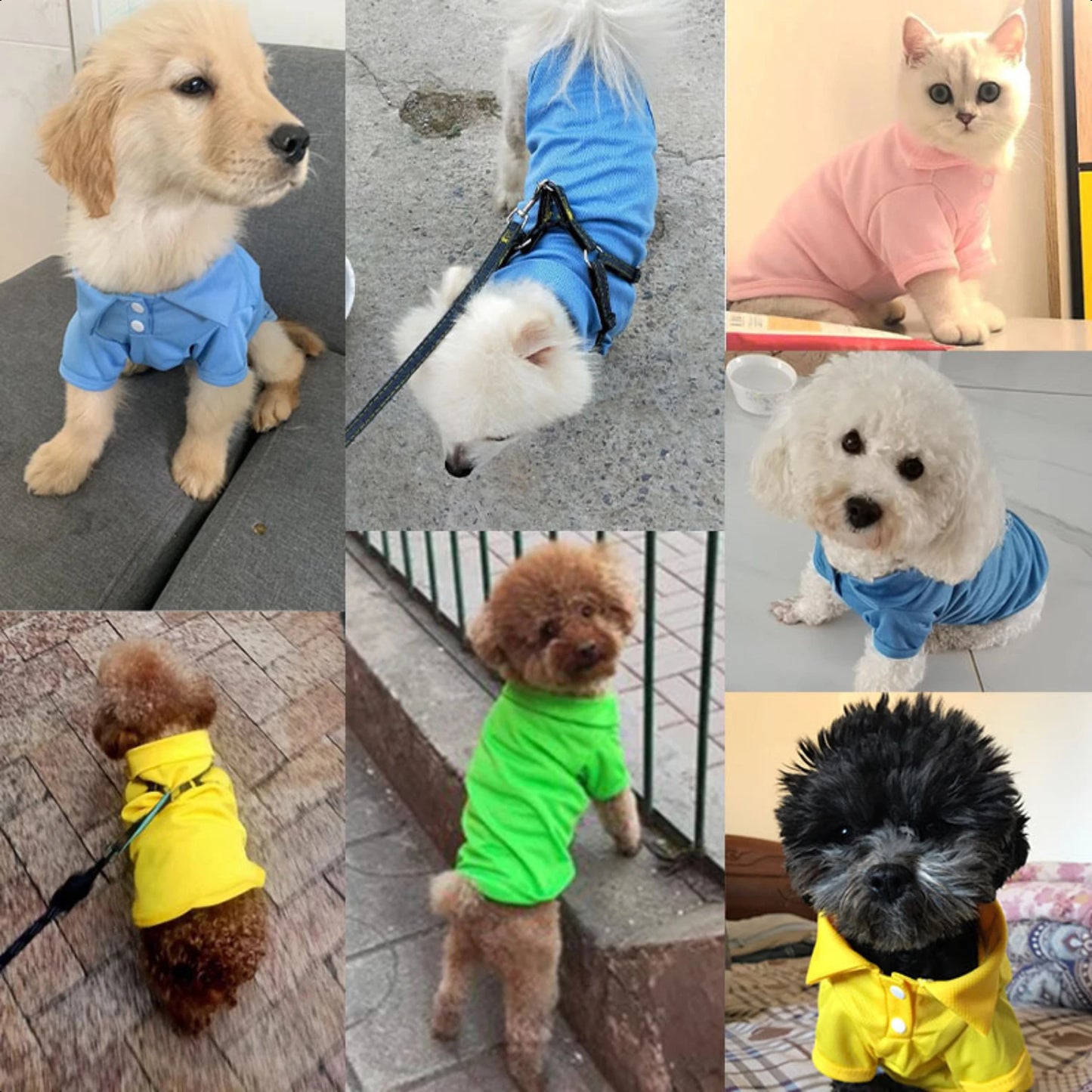 Pet Spring Collar Breathable Solid Shirt Colorful Vest