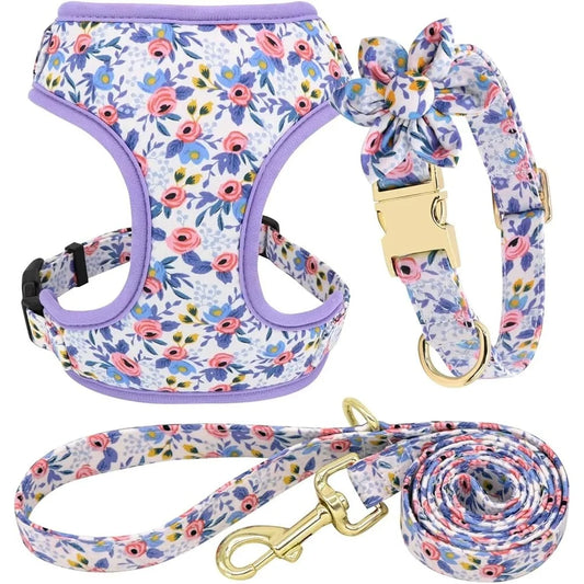 Dog Harness Leash Collar Set