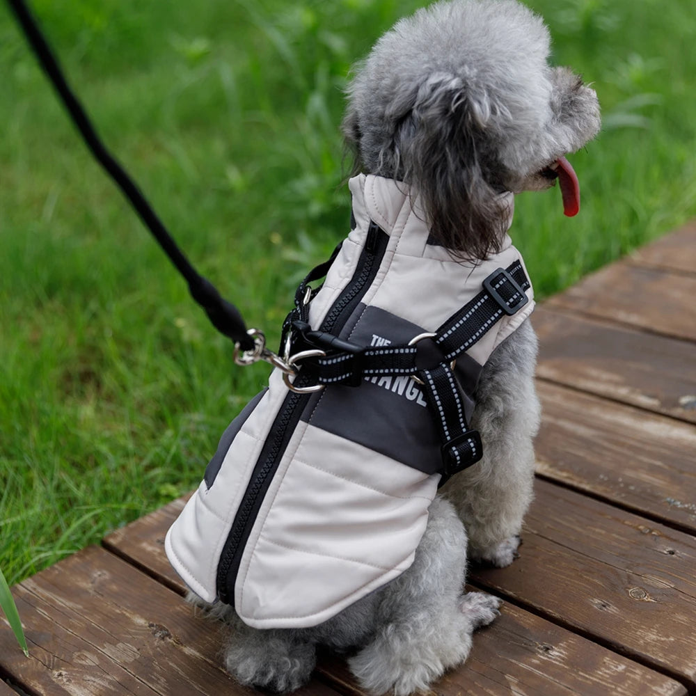 Winter Pet Dog Jacket With Harness