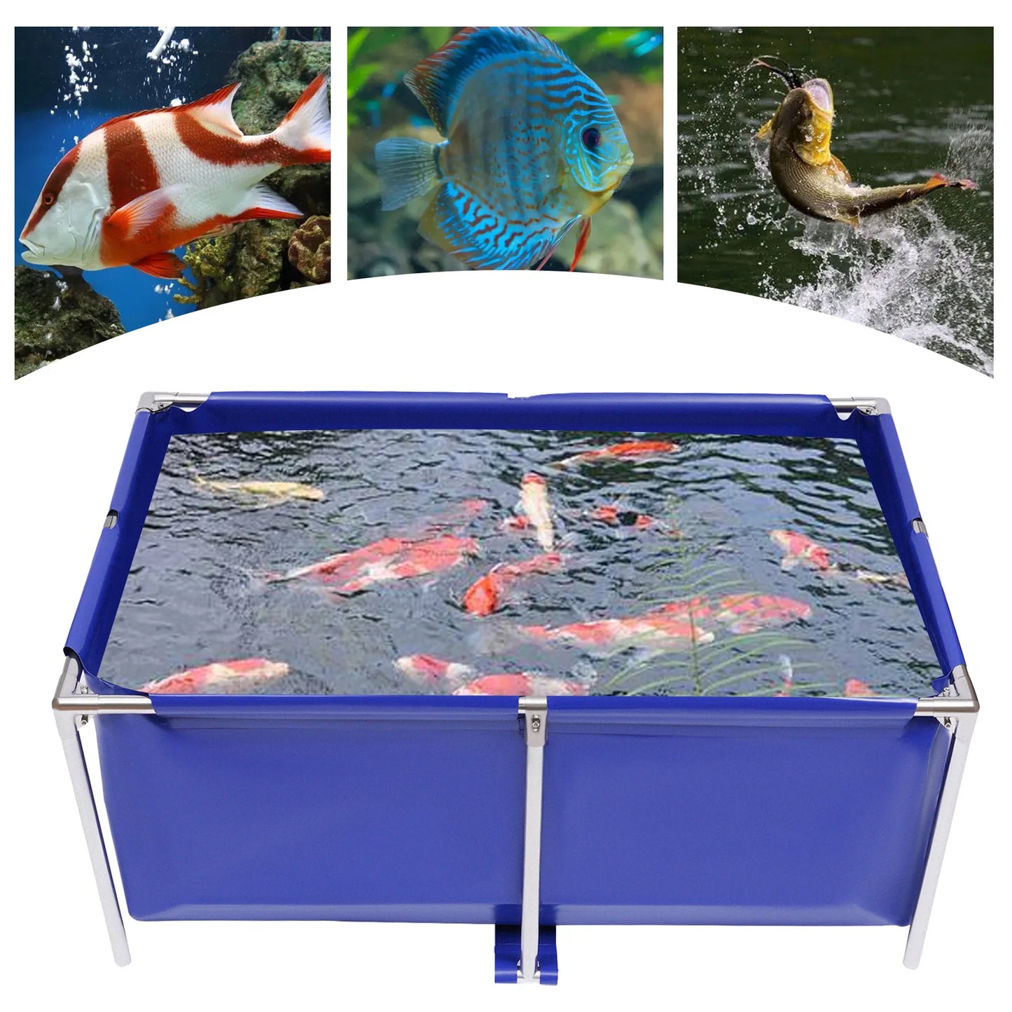 Ornamental Swimming Pool, Koi Breeding Pond