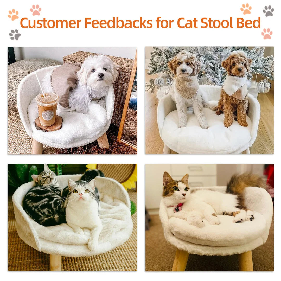 Luxury Cat/Dog Chair Bed Stool Wood Legs