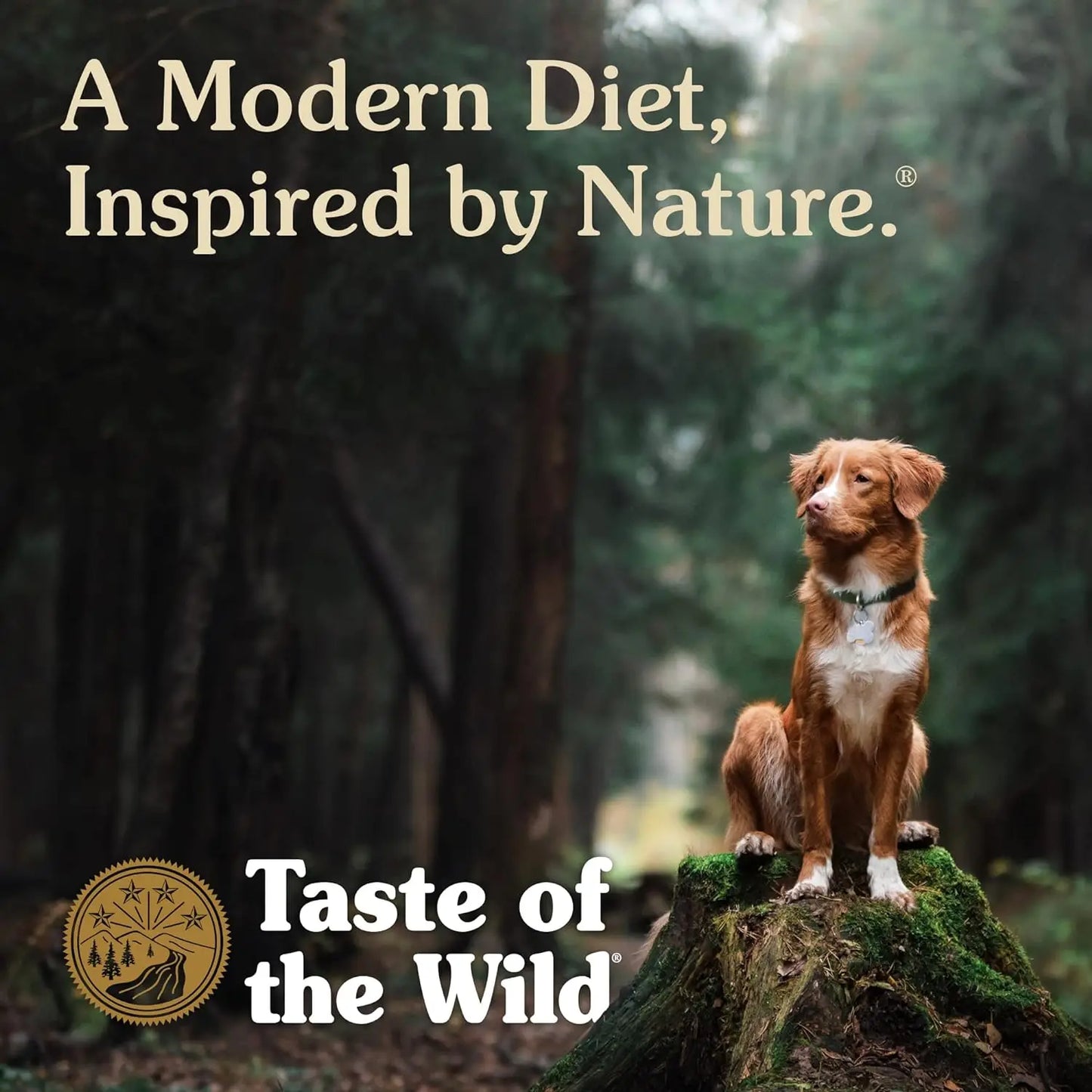 Taste of the Wild Pacific Stream Grain-Free Dry Dog Food with Smoke-Flavored Salmon 28lb