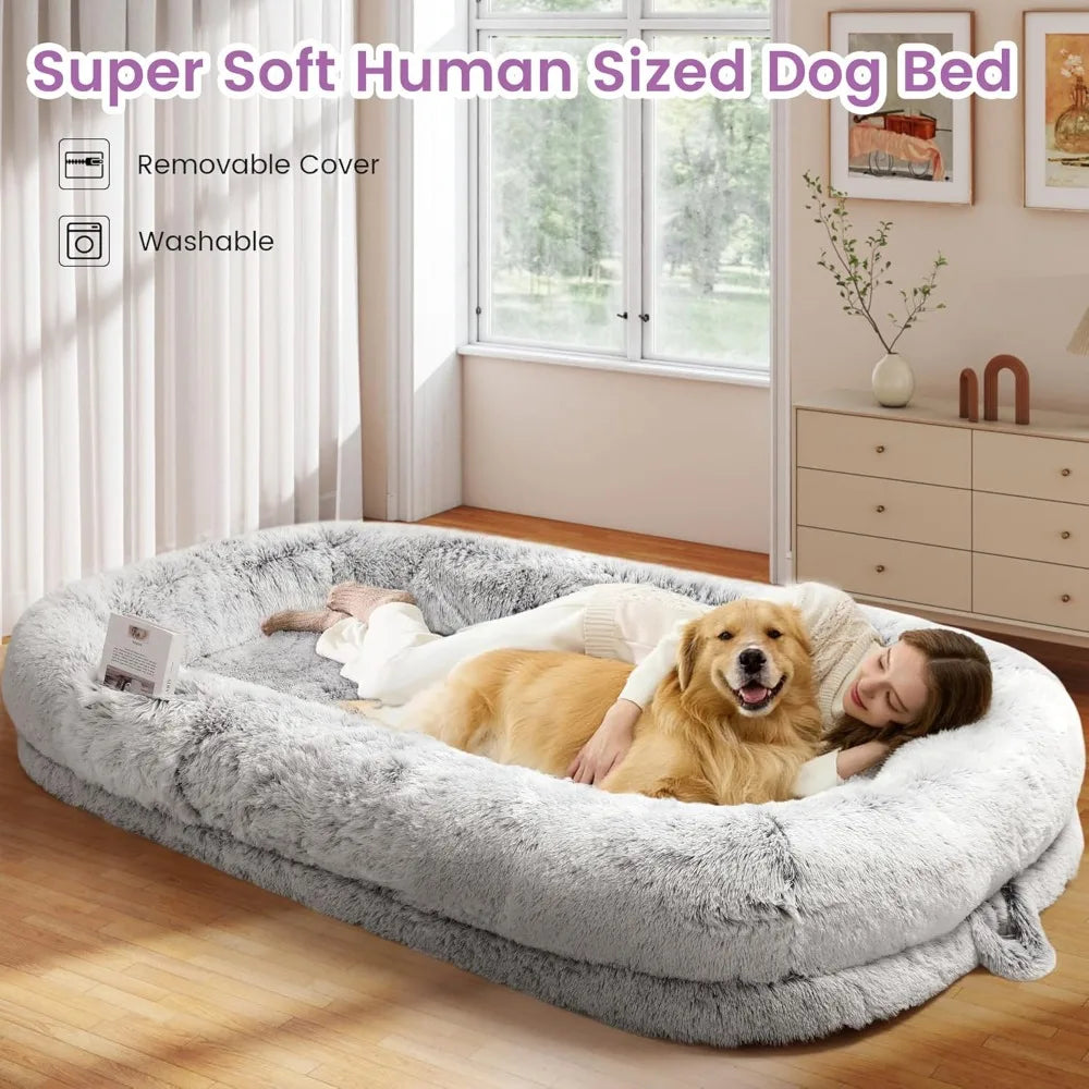 75x43 Inch Orthopedic Human Dog Bed