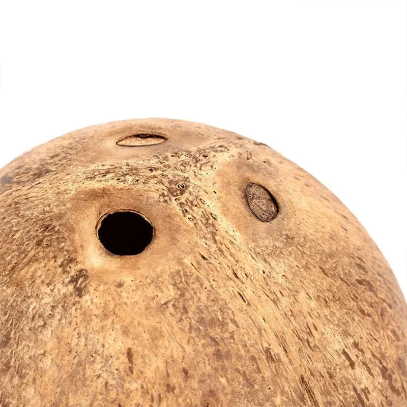Natural Small Pet Coconut Cages