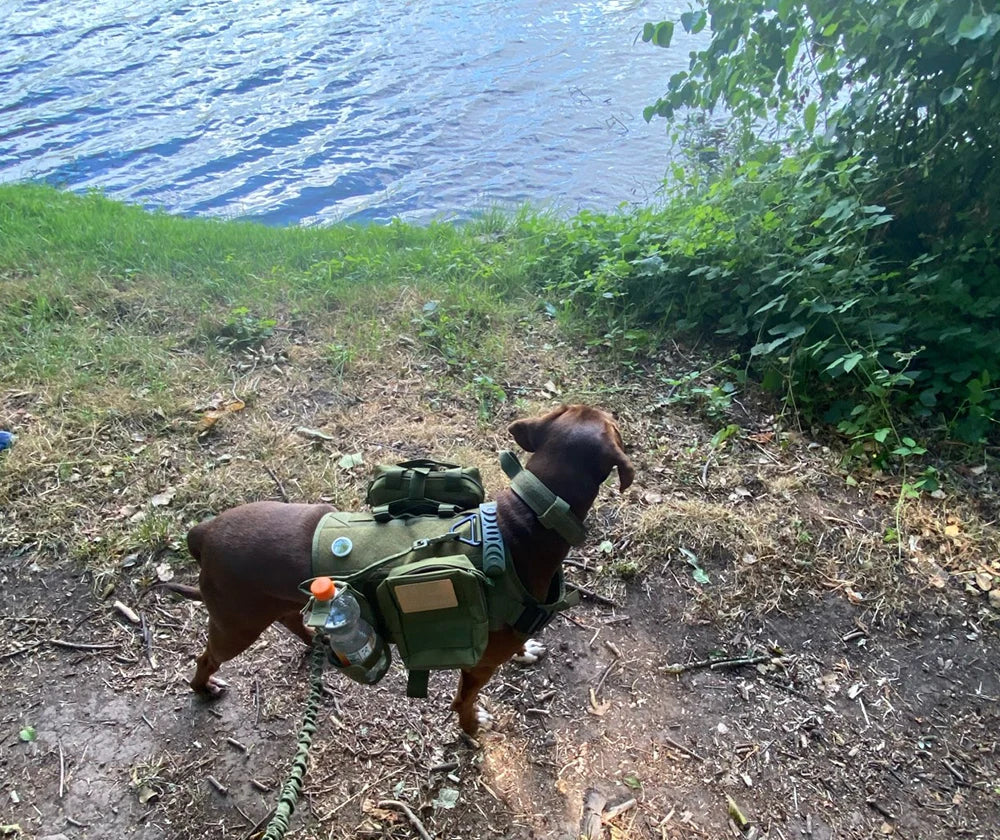 Military Dog Harness Collar Leash