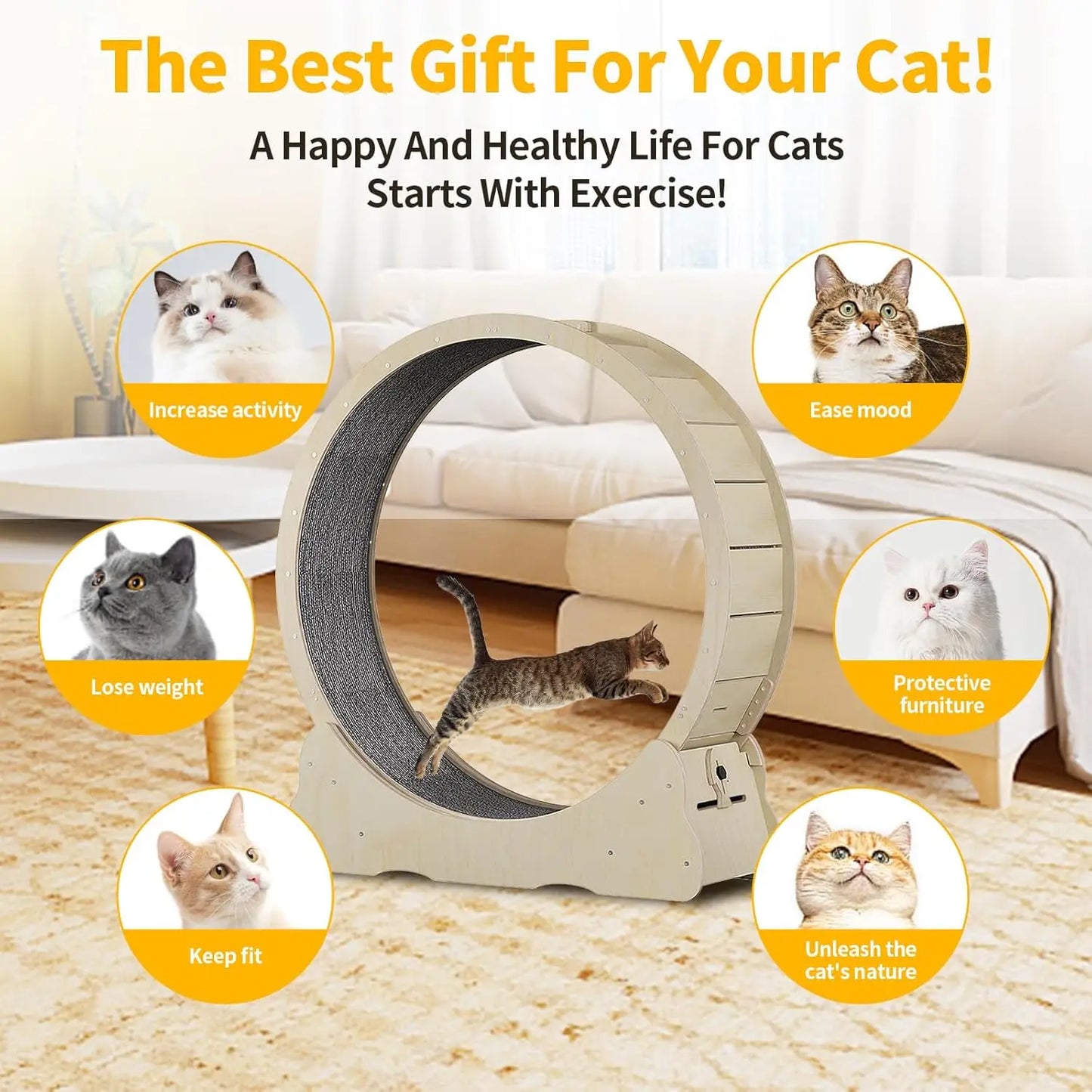 Indoor Cat, Cat Treadmill Wheel for Kitty’s