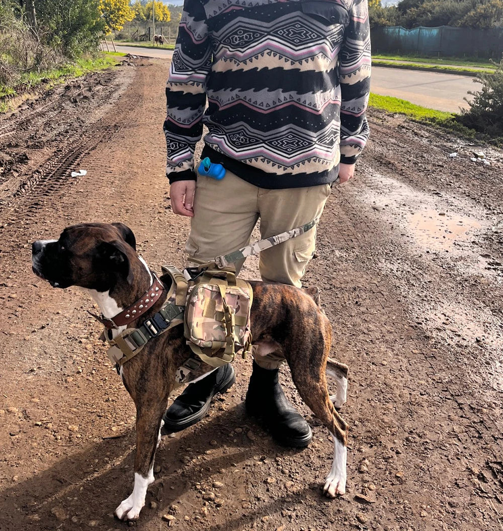 Military Dog Harness Collar Leash