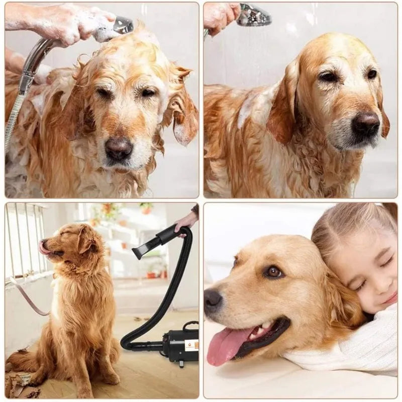 Dog Hair Dryer Blower for Grooming