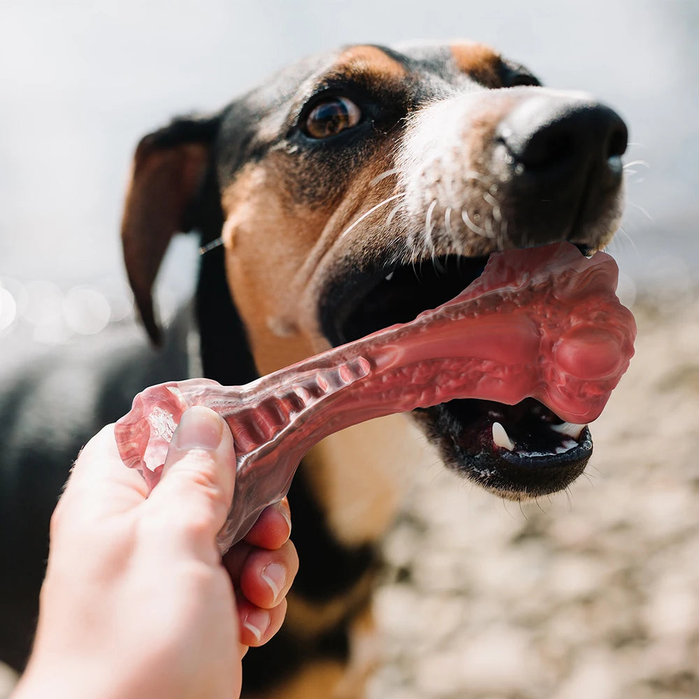 Large Dogs Bone-Shaped Indestructible Dog Toys