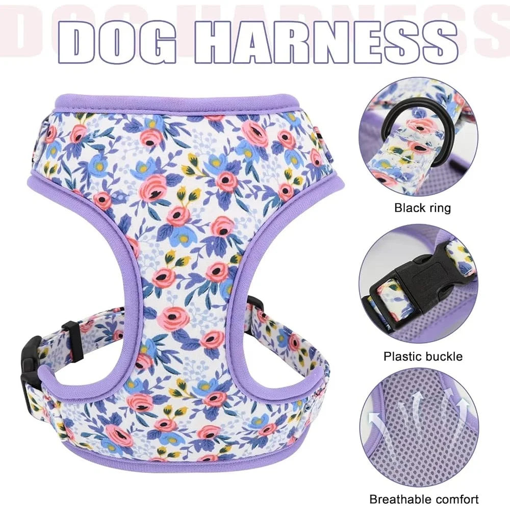Dog Harness Leash Collar Set