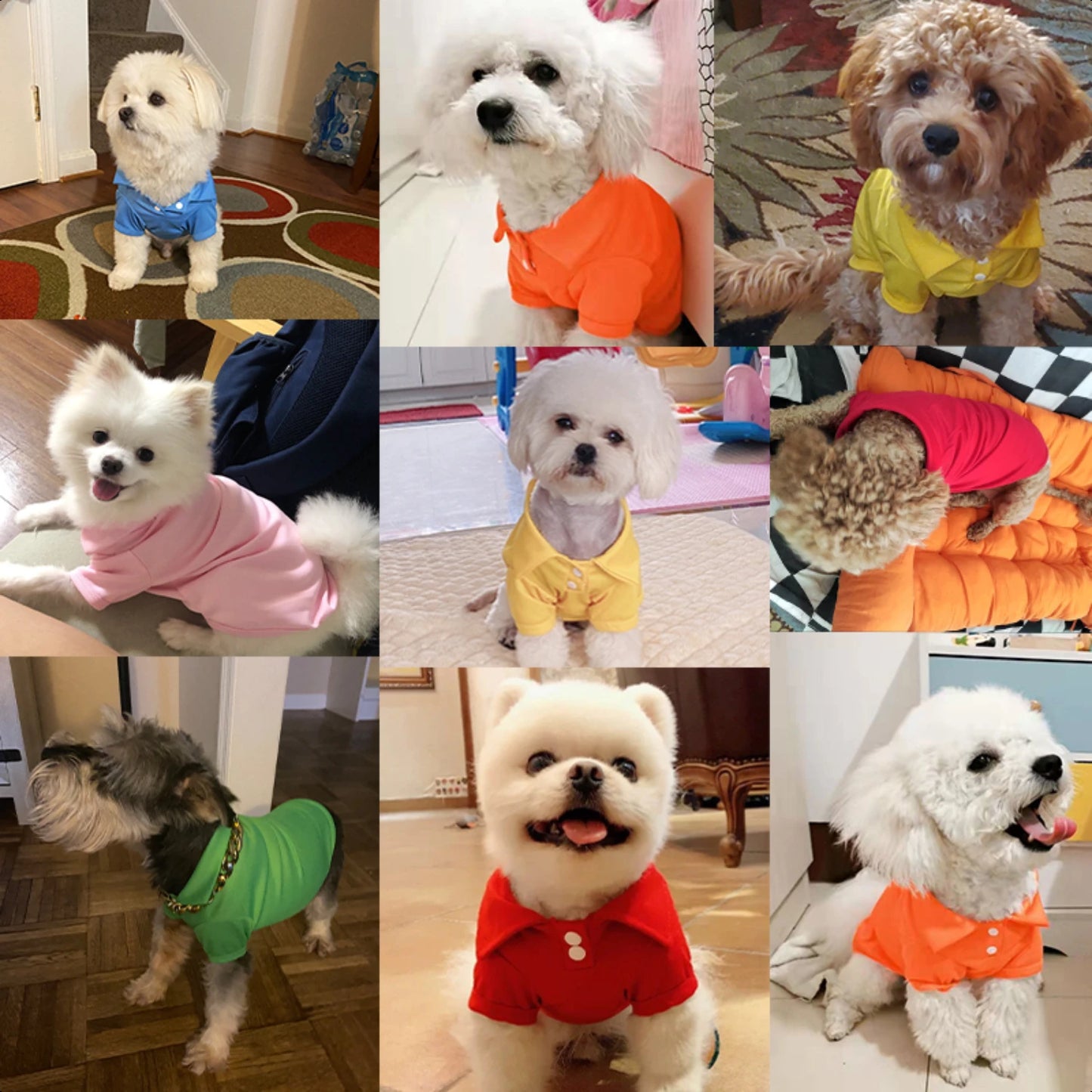 Pet Spring Collar Breathable Solid Shirt Colorful Vest