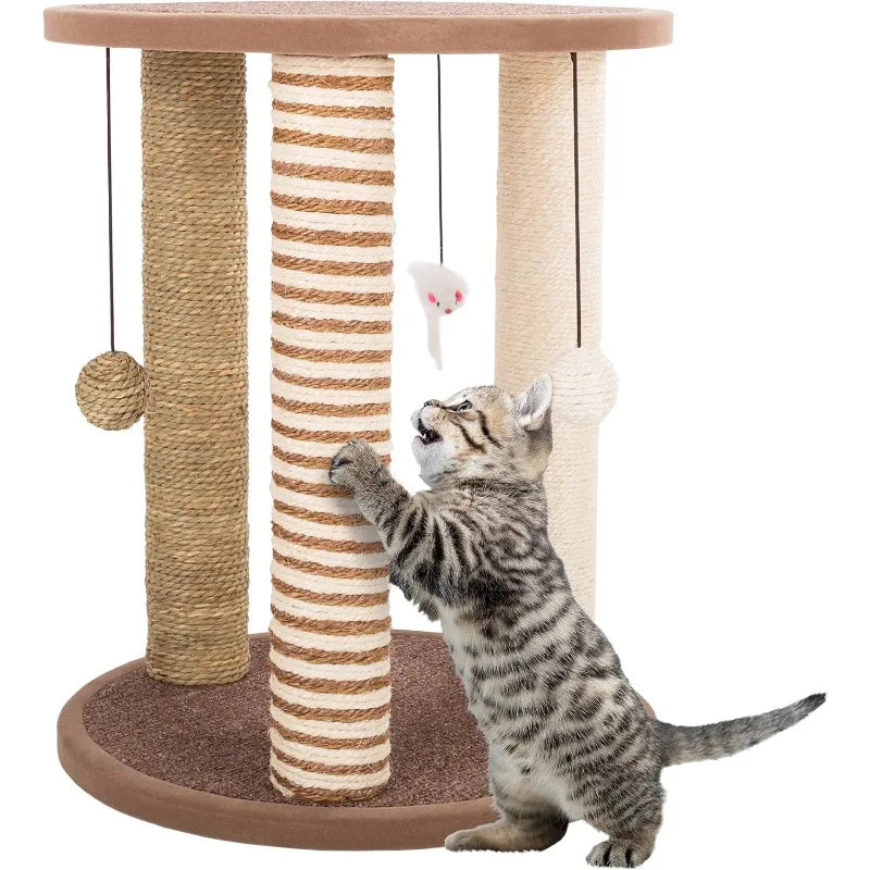 3 Scratcher Posts