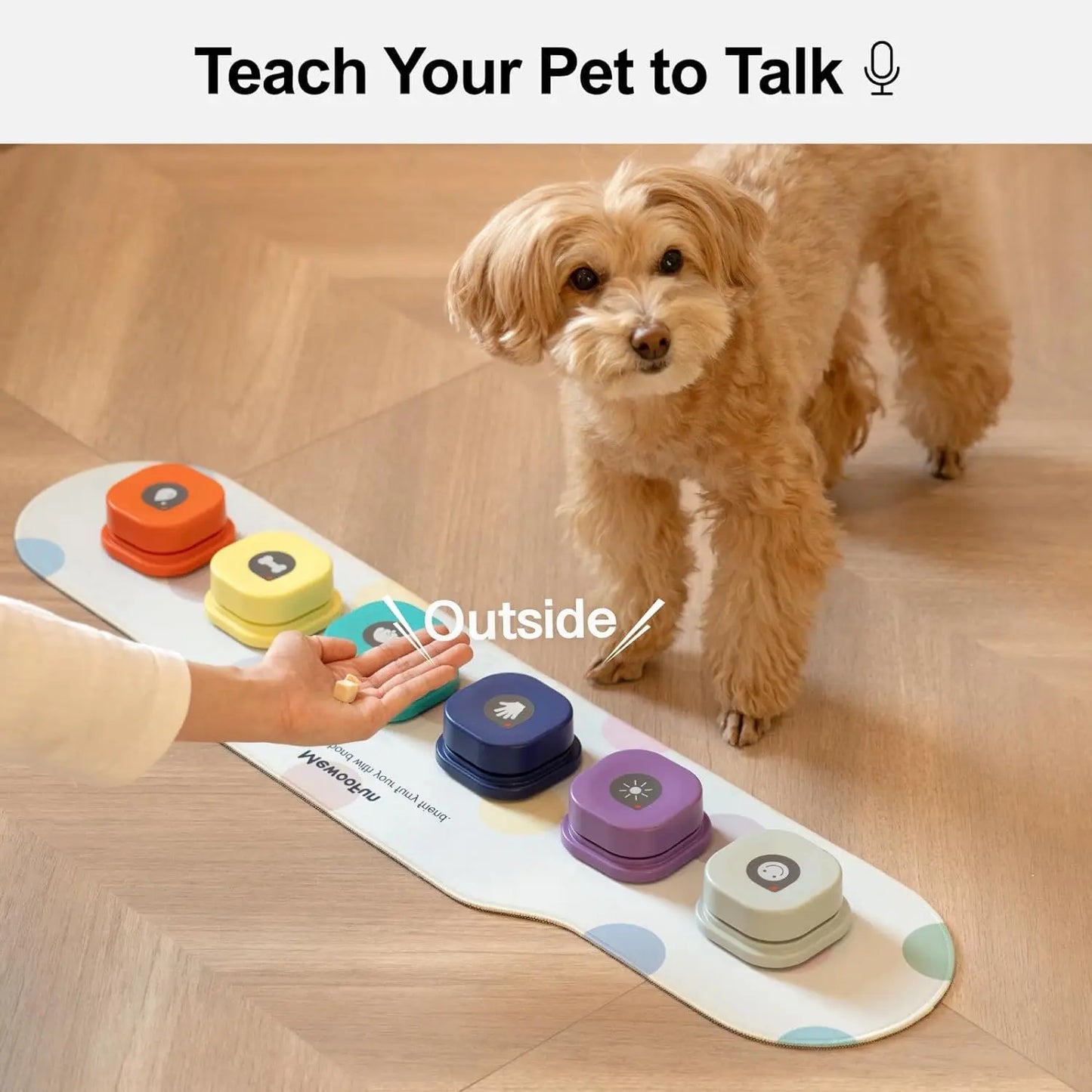 Interactive Dog Buttons for Communication