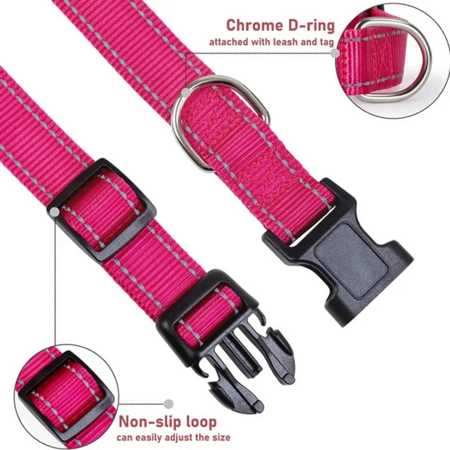 reflective nylon dog collar strap.