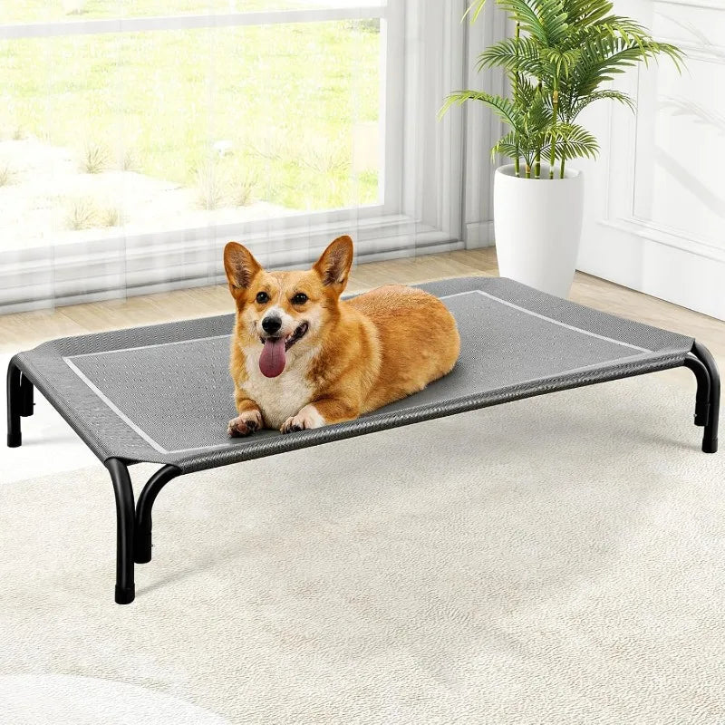 Elevated Dog Bed for Large Sized Dog