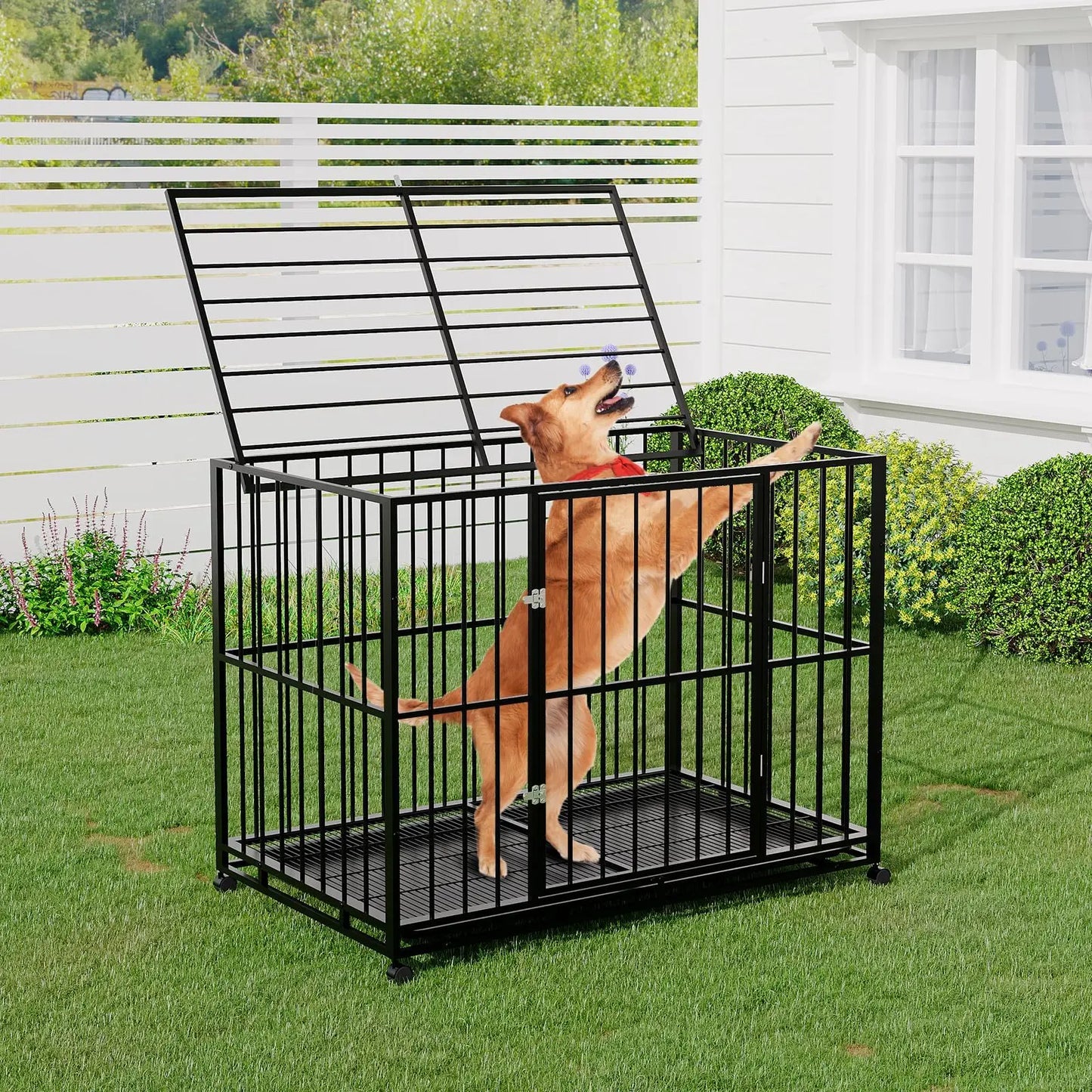 Heavy Duty Stainless Steel Dog Crate