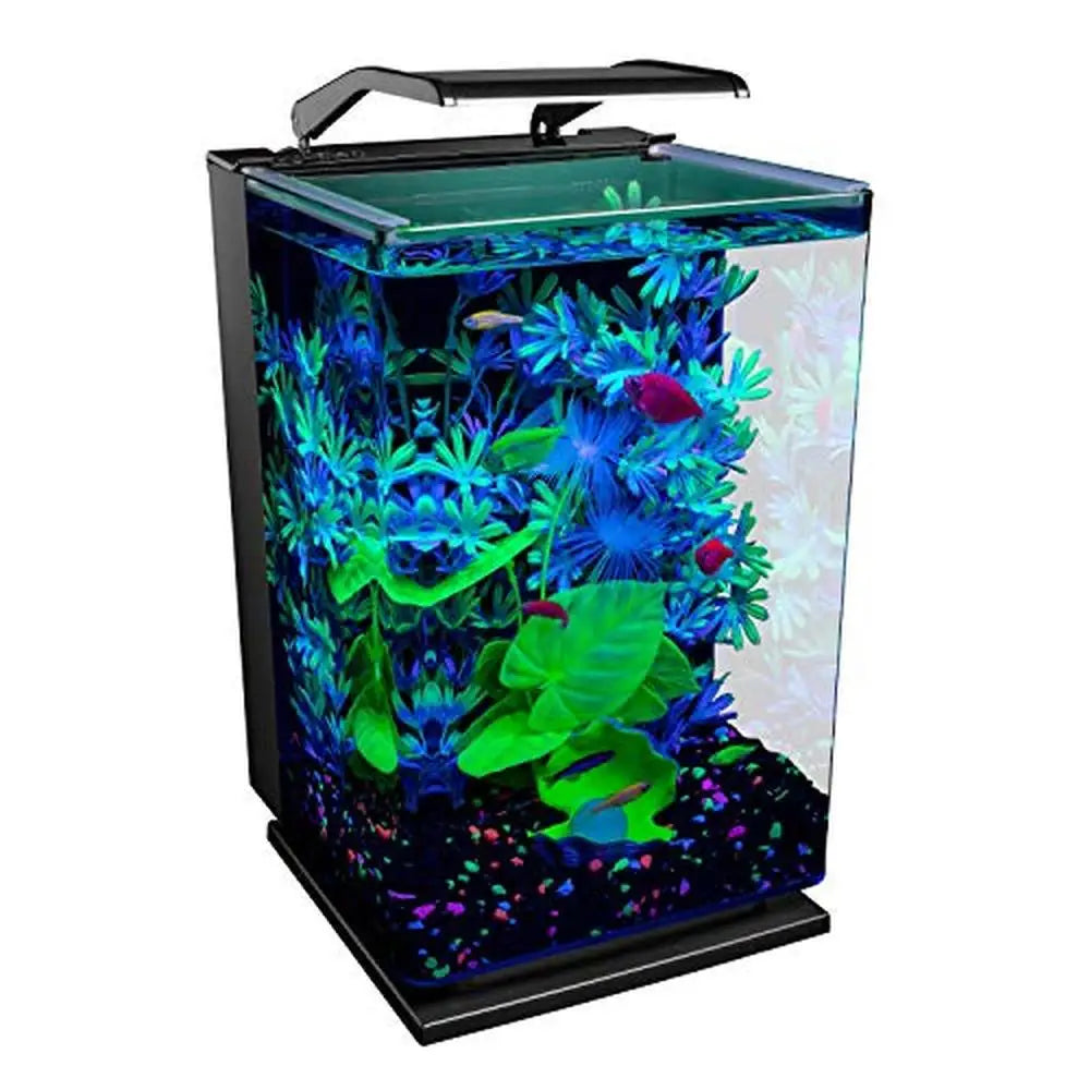 Curved Glass Fish Tank Kit with Hidden Filtration System