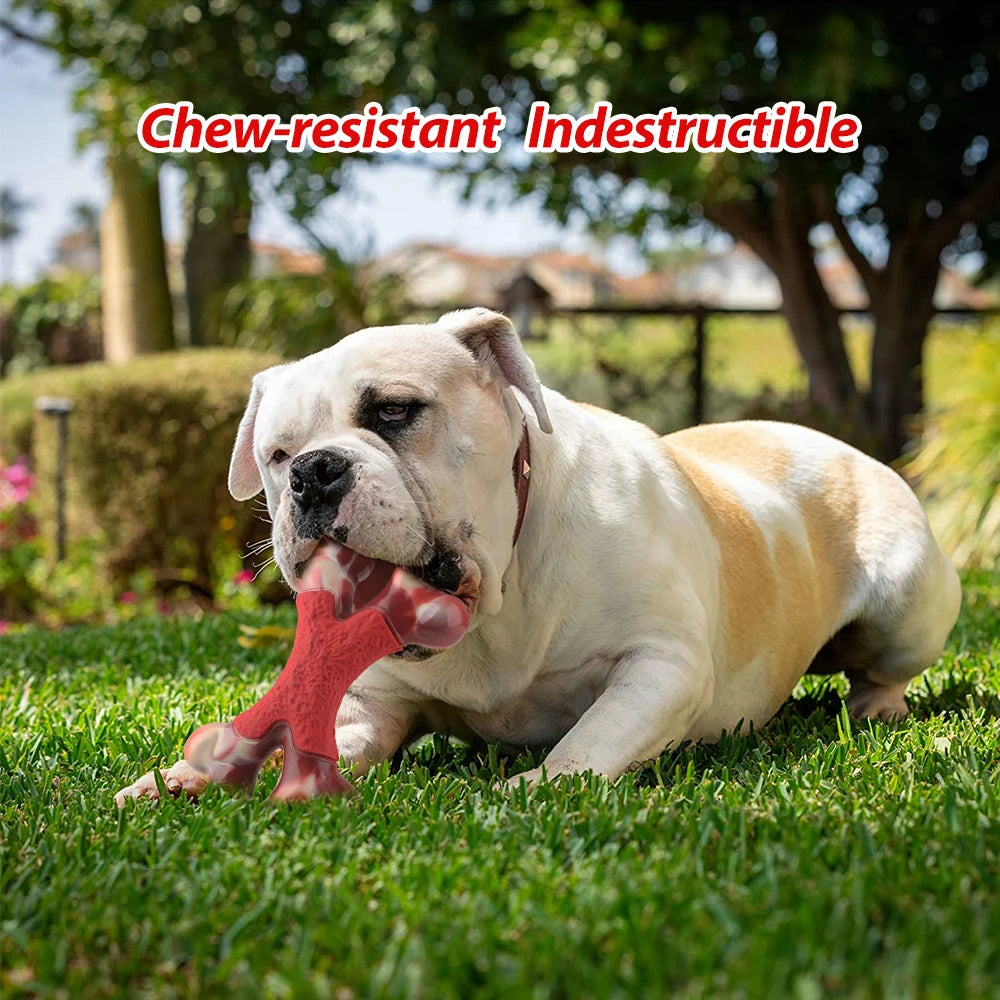 Pet Dog Chew Toy Durable Dog Double Bone