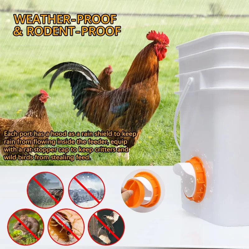 Automatic Poultry Feed Bucket Self-Gravity Feeding Of Chicken And Duck