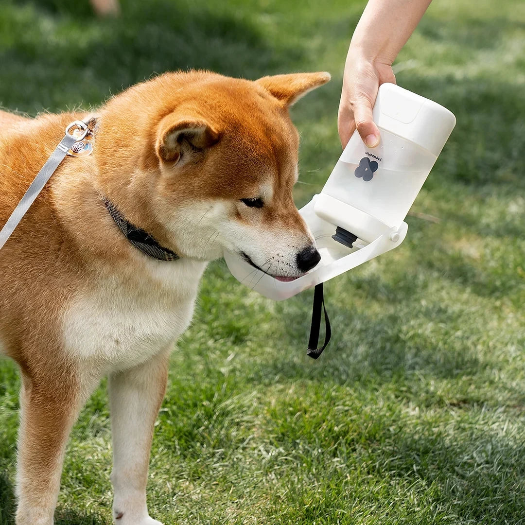 Portable Tasteless and Leak-Proof Water Dispenser for Small Pet