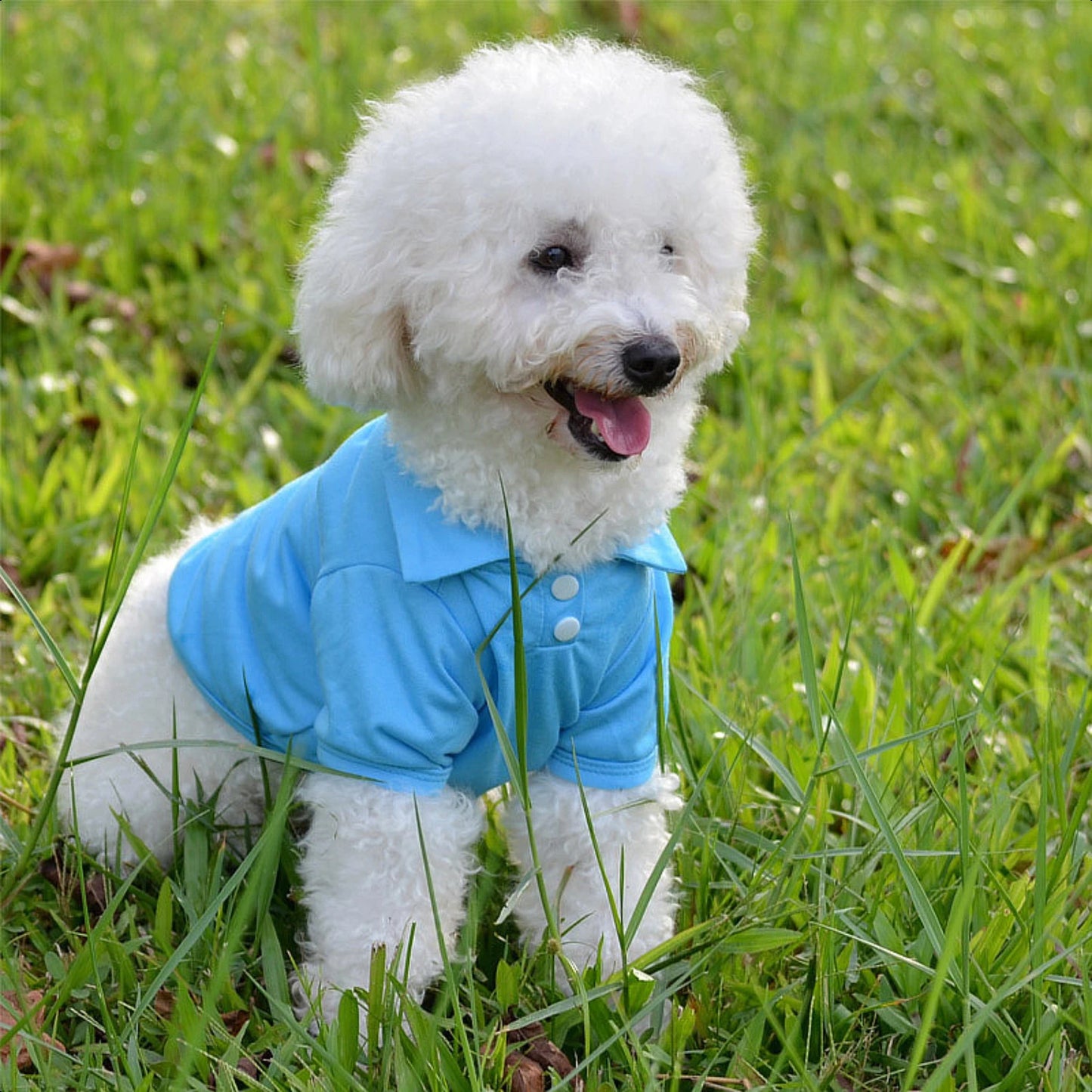 Pet Spring Collar Breathable Solid Shirt Colorful Vest