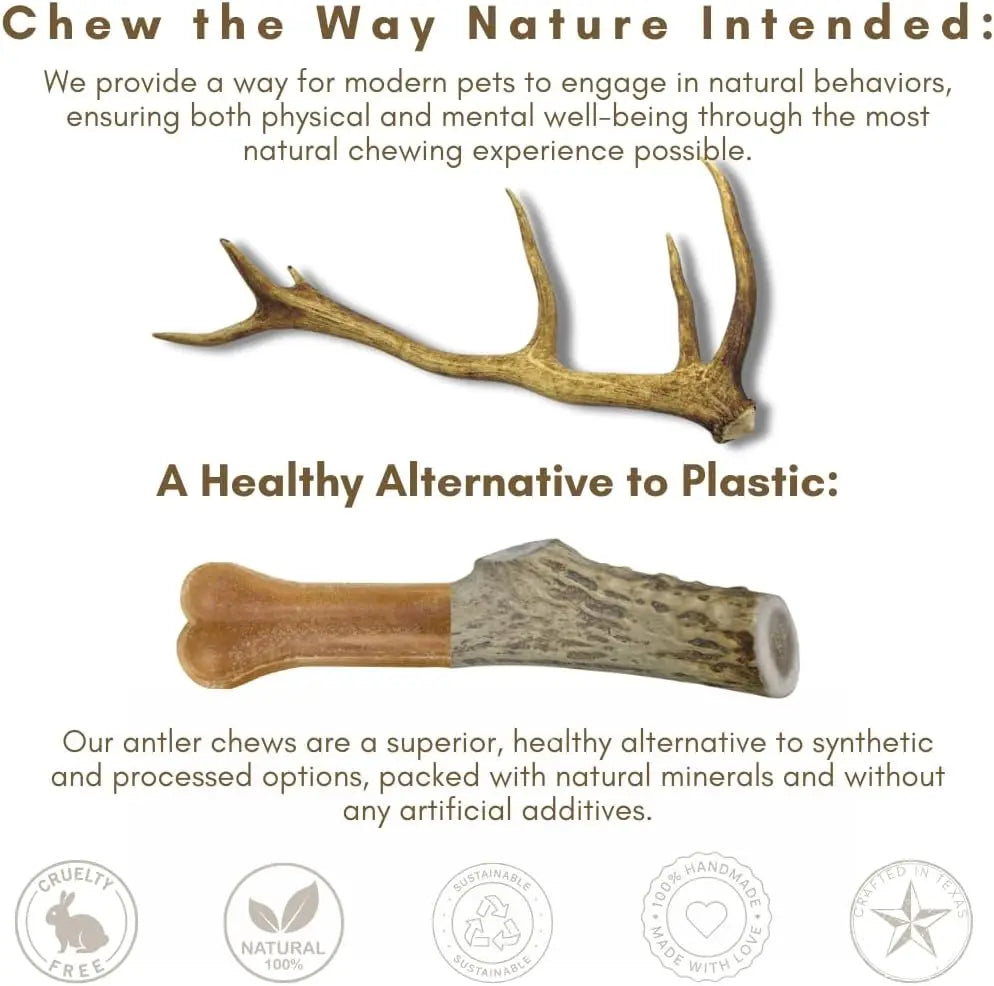 Large Dogs, Antler Dog Chews