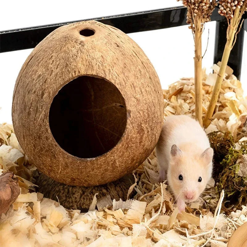 Natural Small Pet Coconut Cages