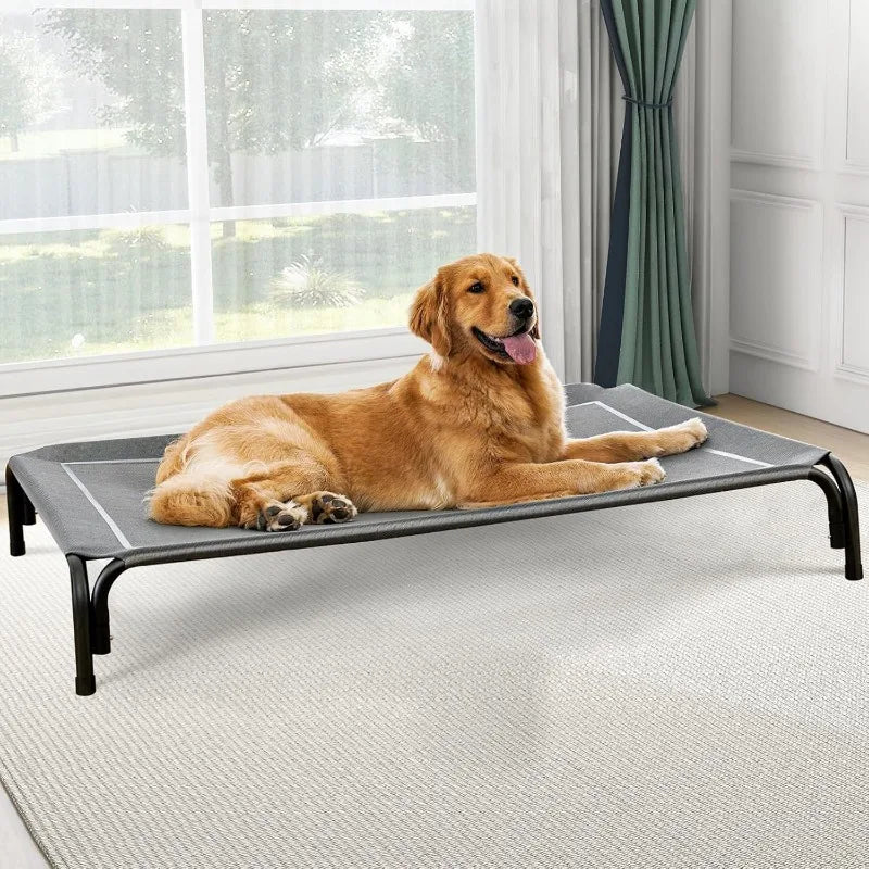 Elevated Dog Bed for Large Sized Dog