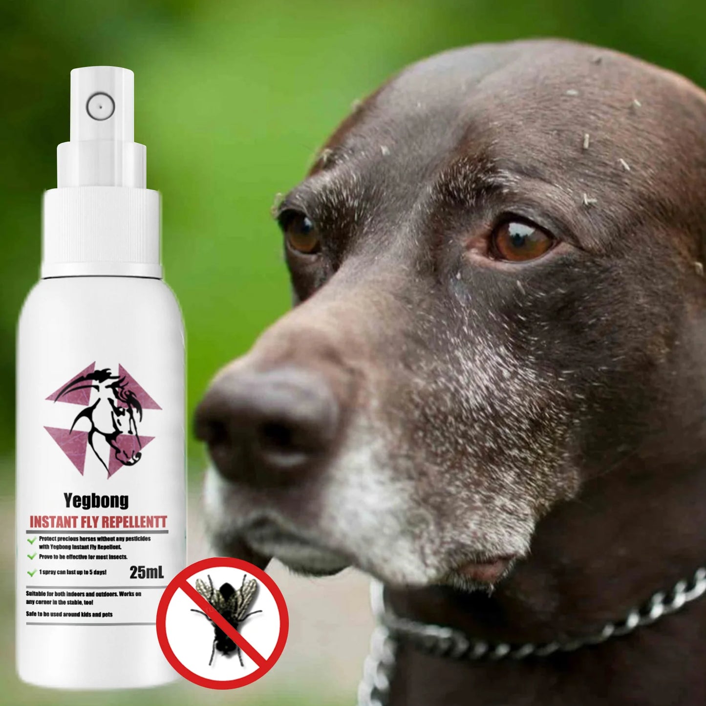 Pet Skin Spray Fleas Tick And Mosquitoes Spray For Dogs Cats