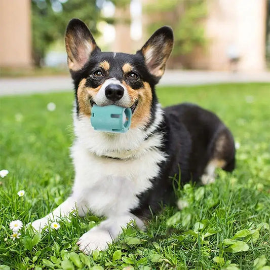 Puppy Teething Chew Ball
