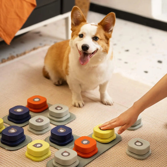 Button Recording  Vocal Pet Communication Interactive Toy