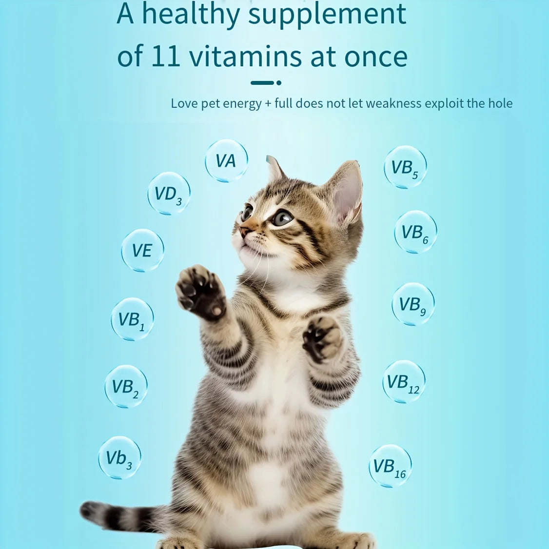 Dog and Cats Multivitamin - 200 Tablets