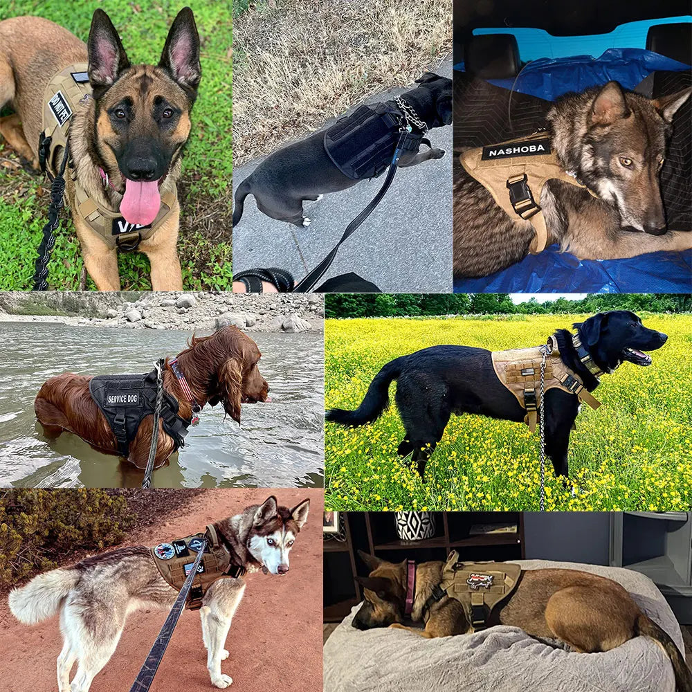 Military Dog Harness Collar Leash