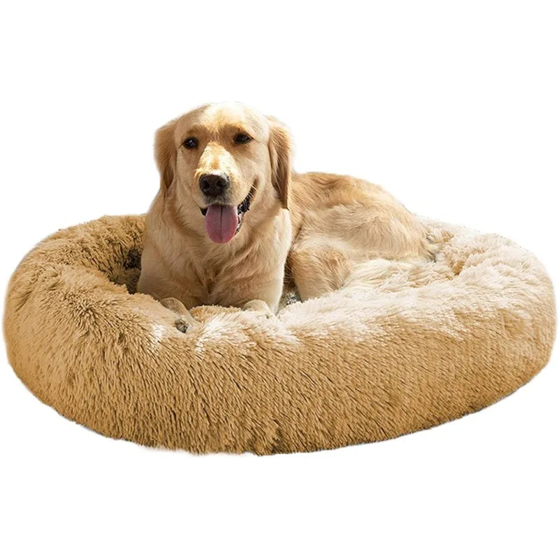 Calming Dog Bed for Dogs