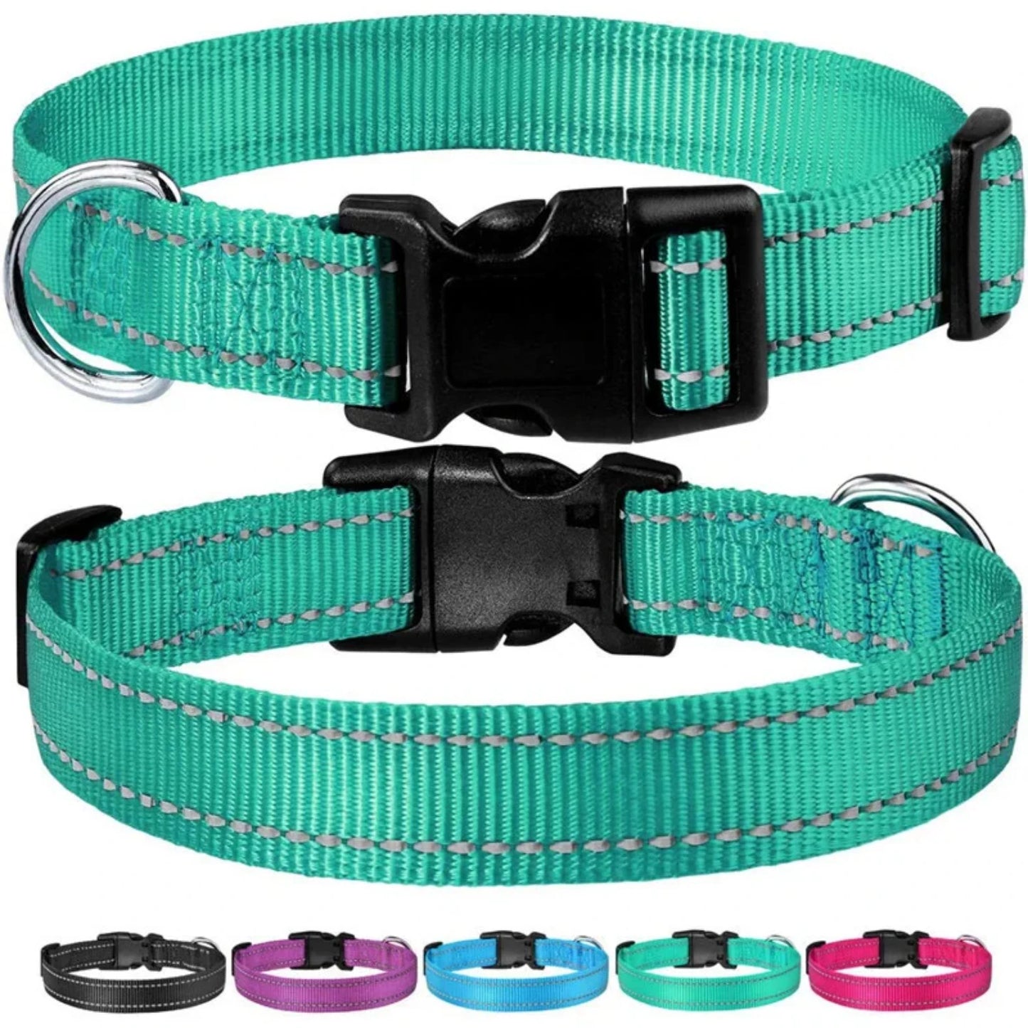 reflective nylon dog collar strap.