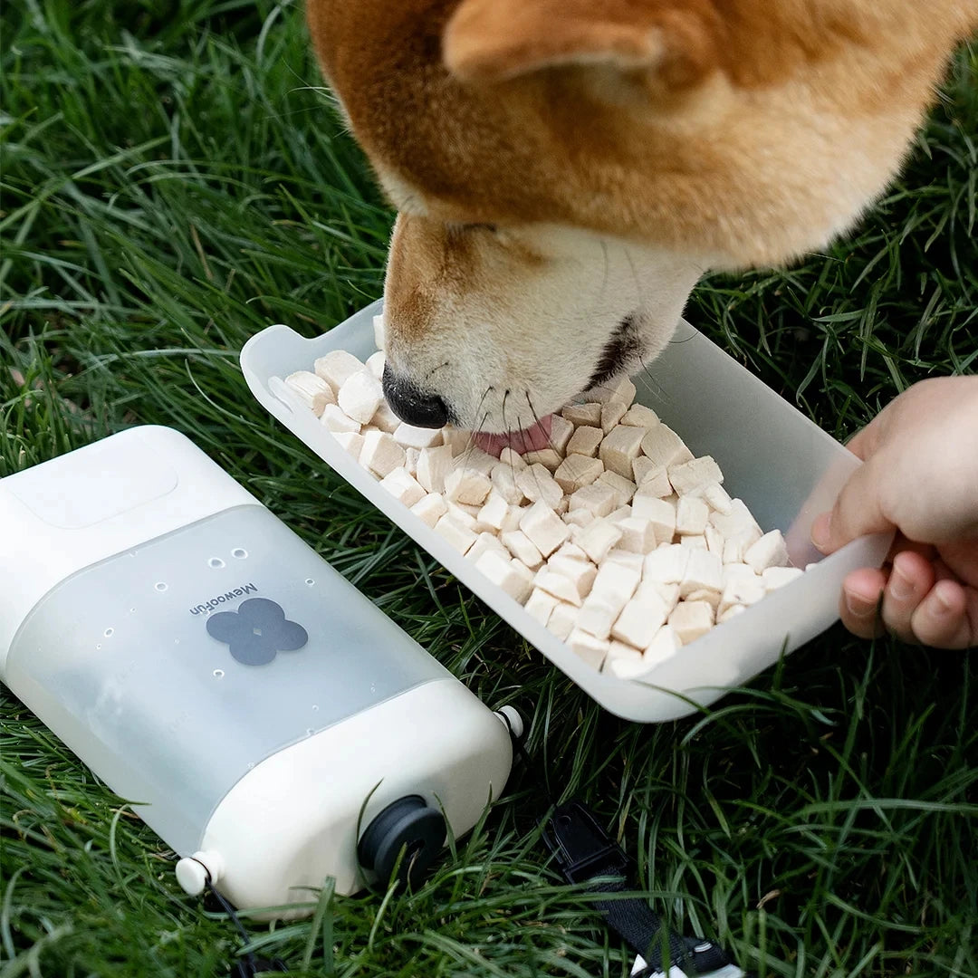 Portable Tasteless and Leak-Proof Water Dispenser for Small Pet