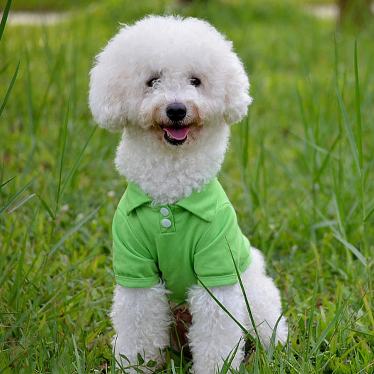 Pet Spring Collar Breathable Solid Shirt Colorful Vest