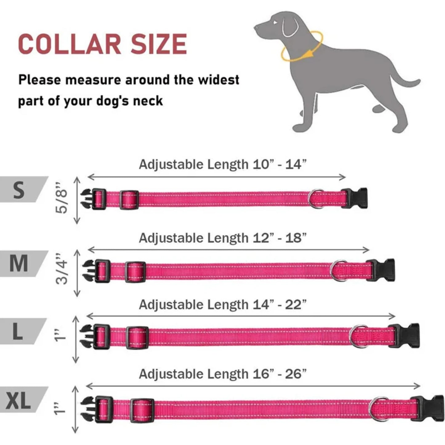 reflective nylon dog collar strap.