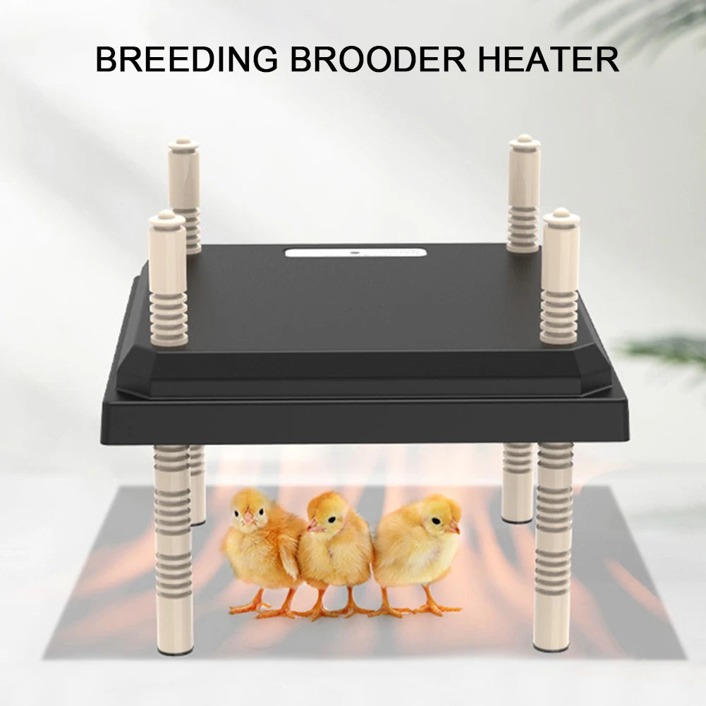 Electric Chick Brooder Heating Plate Energy-Efficient Adjustable Height & Angle