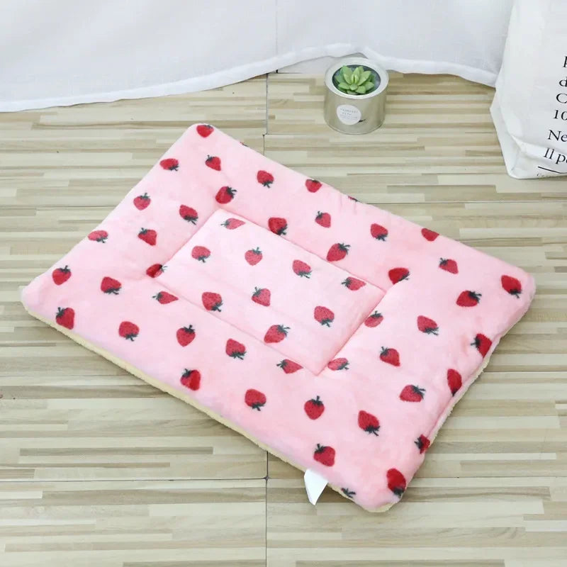 Double-sided Pet Mat Mats