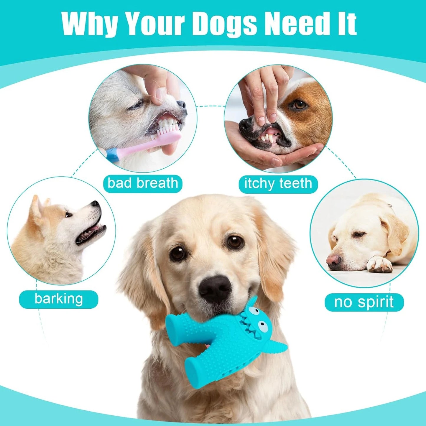 Squeaky Dog Toys for Aggressive Chewers