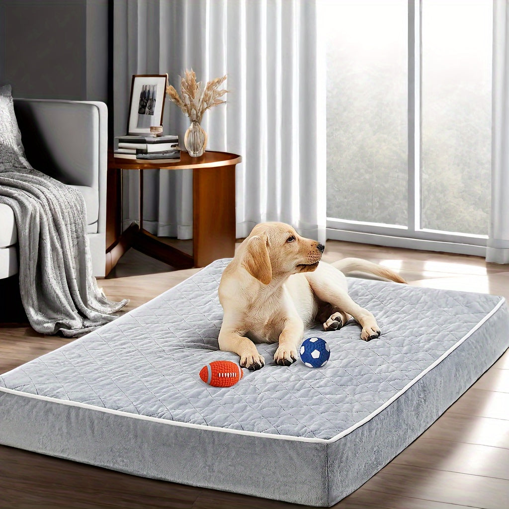 Orthopedic Dog Bed For Large Dogs