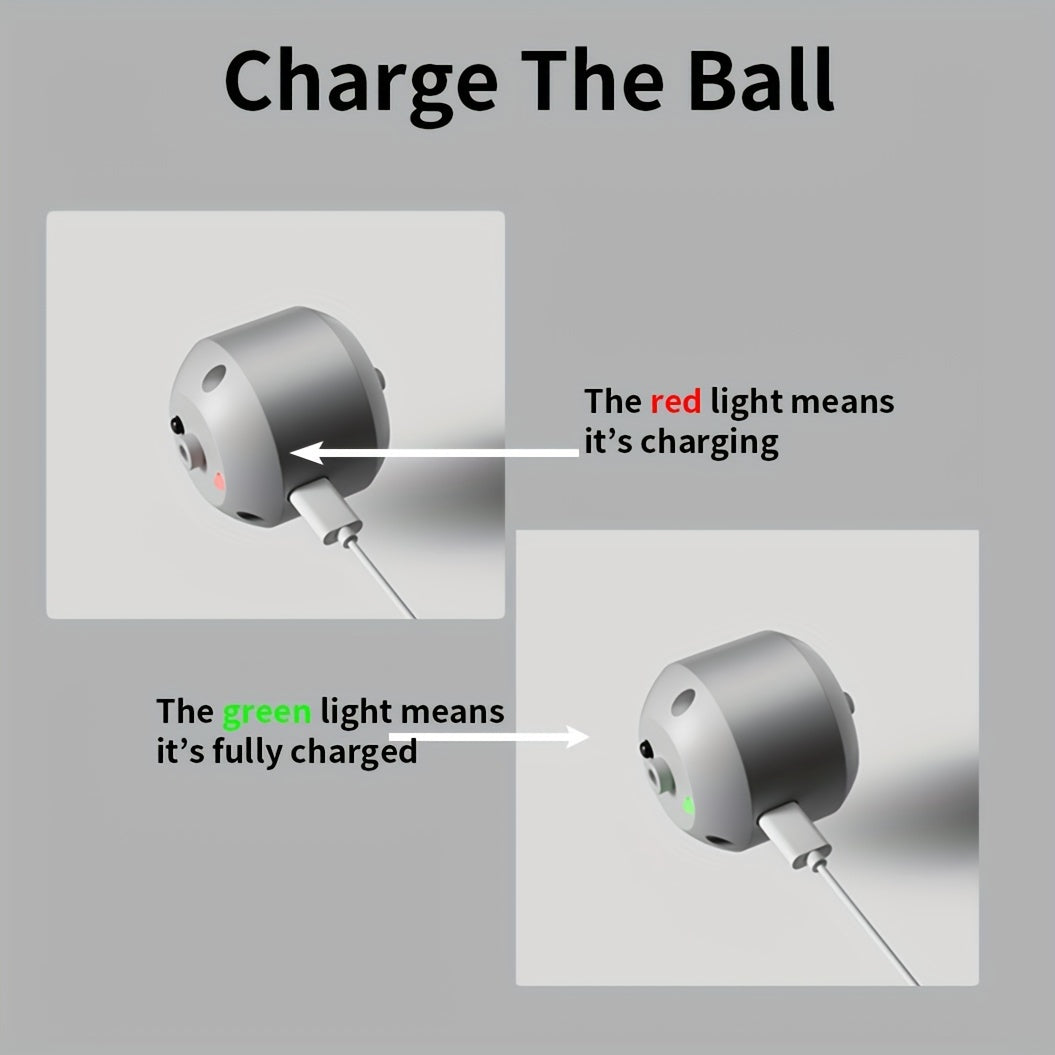 Intelligent Pet Dog Toy Ball