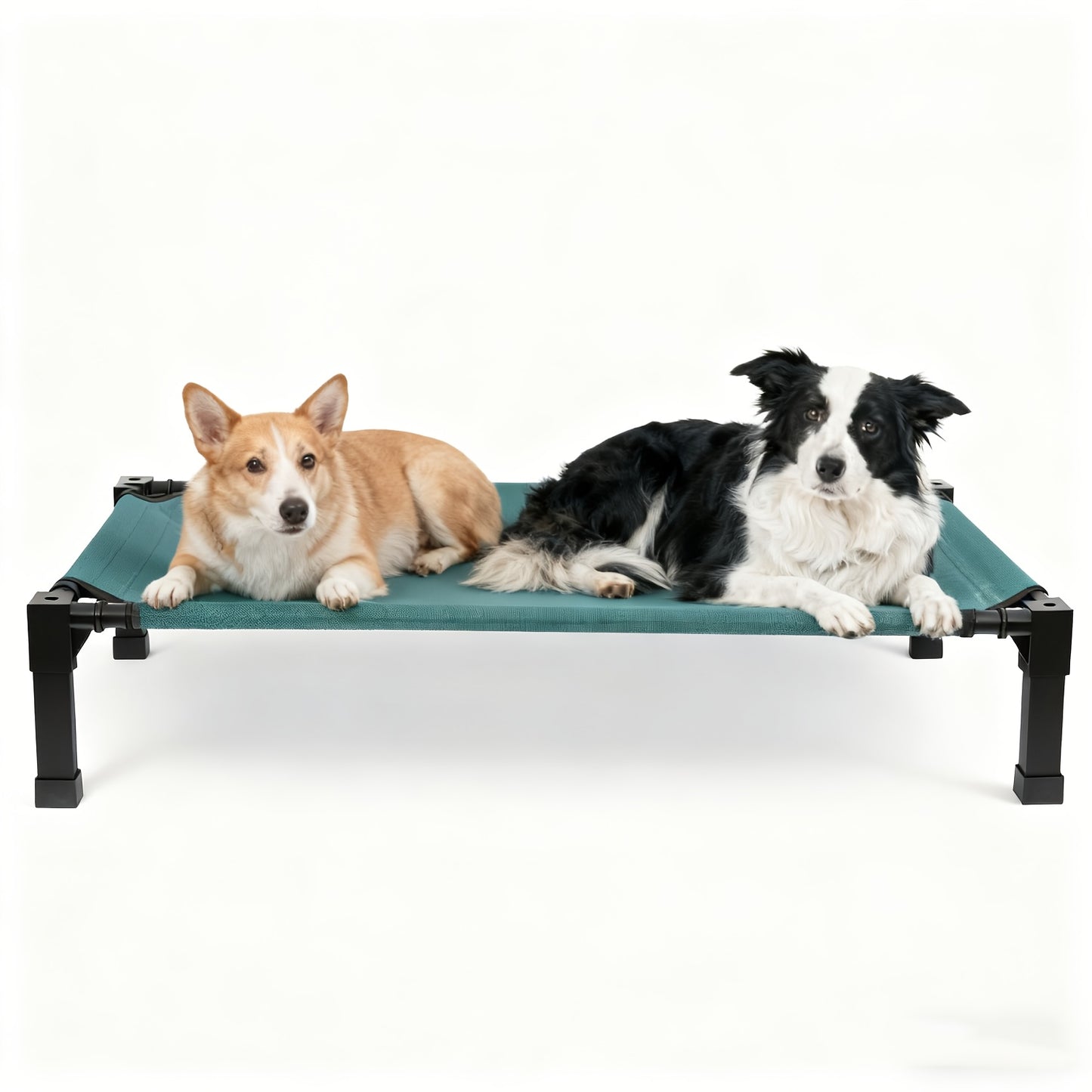 Cooling Elevated Dog Bed