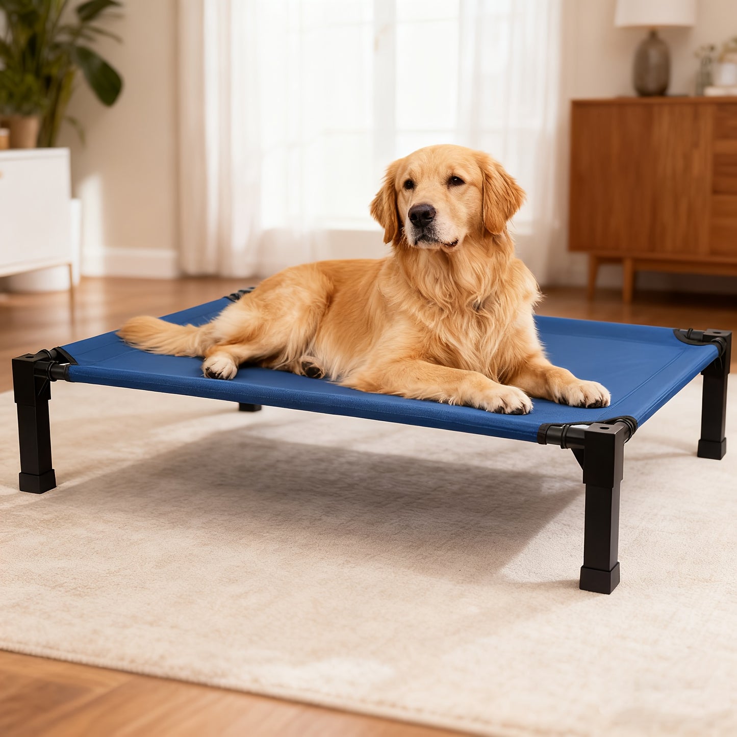 Cooling Elevated Dog Bed