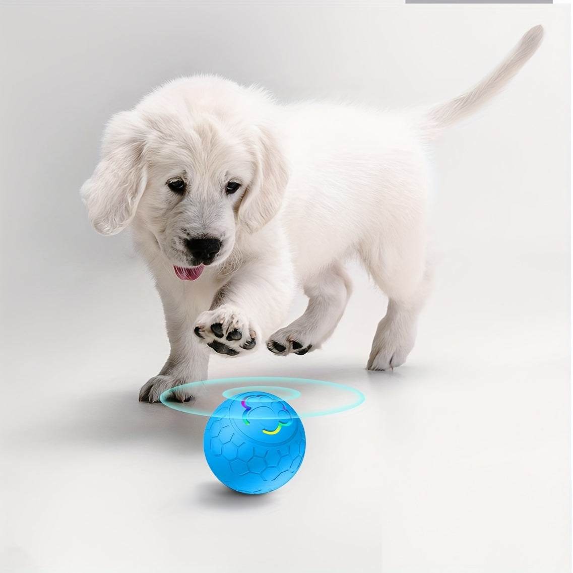 Intelligent Pet Dog Toy Ball